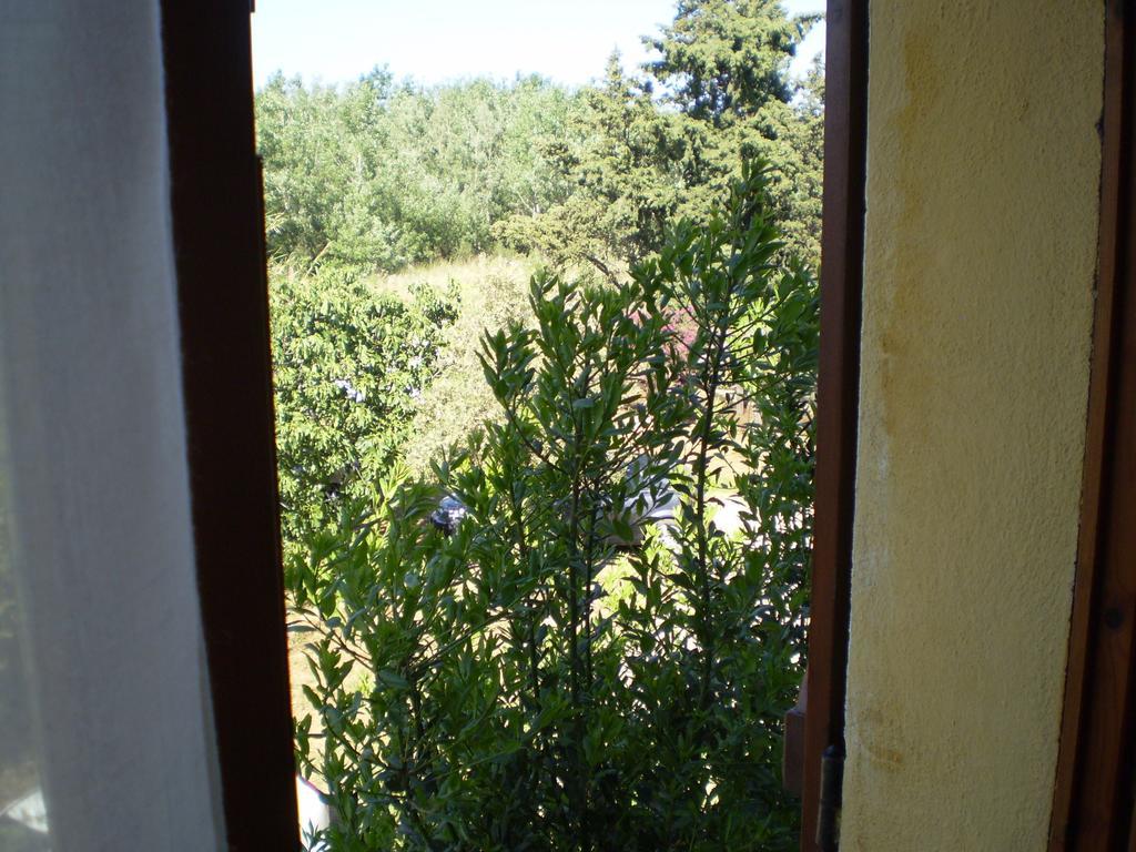 Hotel S'Obreschida Кастиадас Номер фото